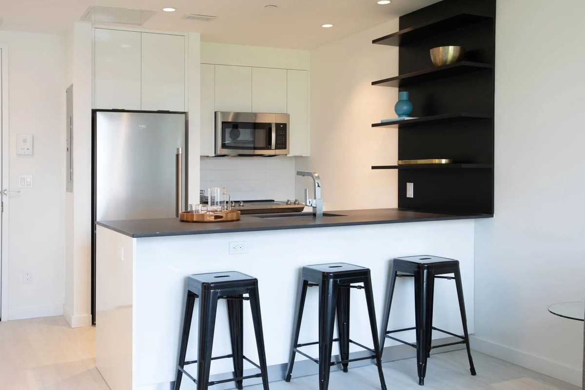 Apartment in Downtown Brooklyn